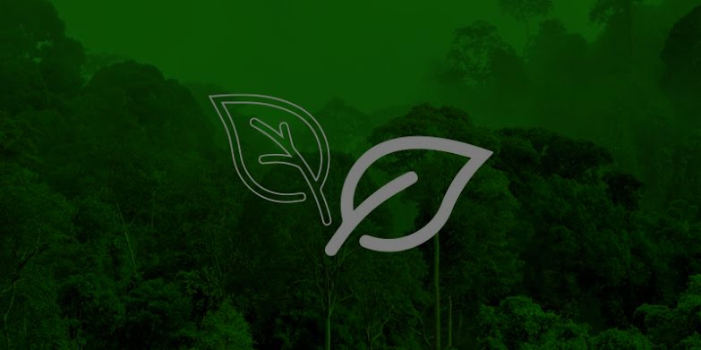 Projetos de Bobão